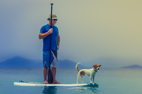 Paddle Boards